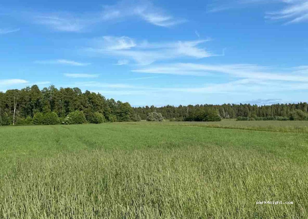 (546 91) Frökärr - — foto