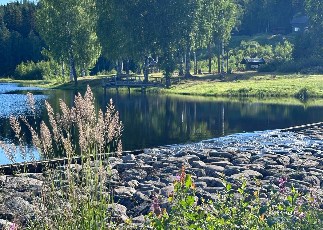 (2864) Fall - 2 Skrankehøgda — foto