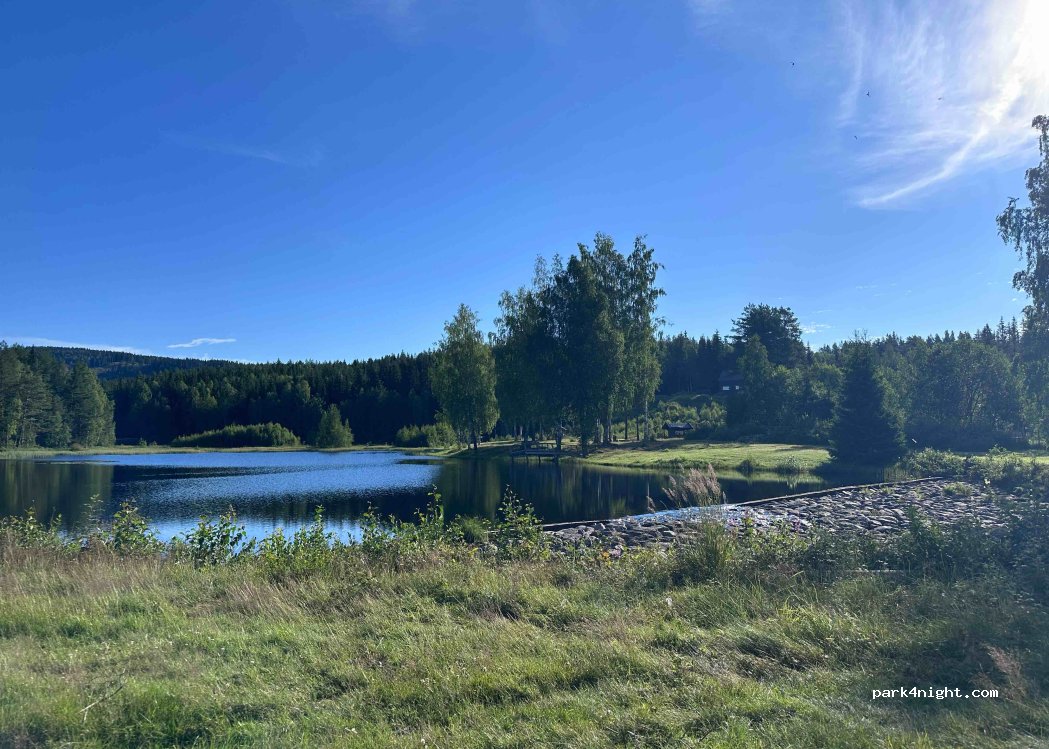 (2864) Fall - 2 Skrankehøgda — foto 2