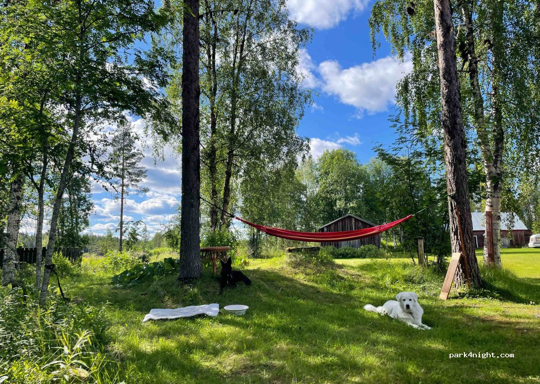 (933 91) Auktsjaur - — foto 2