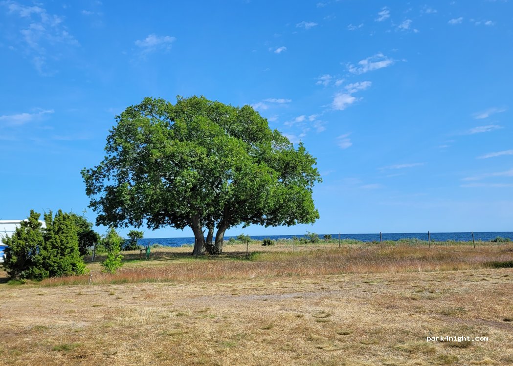 Aplanabben naturist resort — foto 5