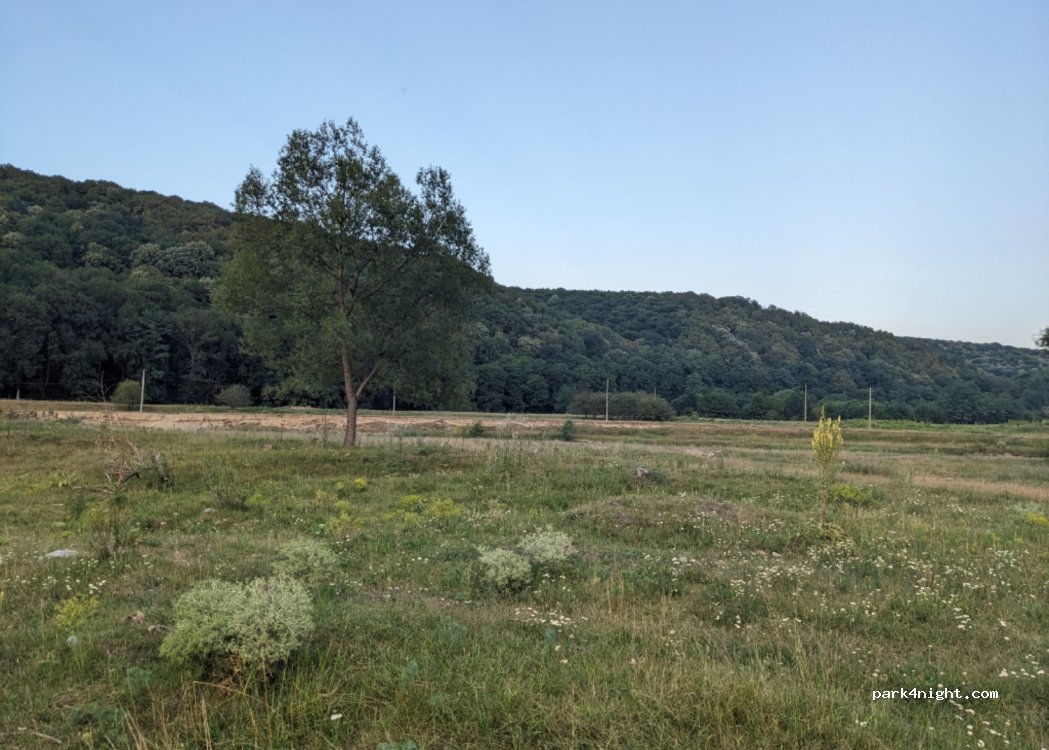(607552) Florești - Unnamed road — foto