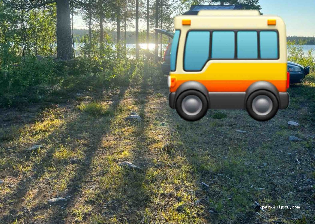 (982 04) Puoltikasvaara - — foto