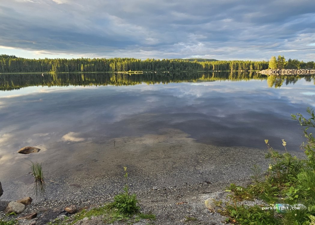 (844 95) Midskog - — foto
