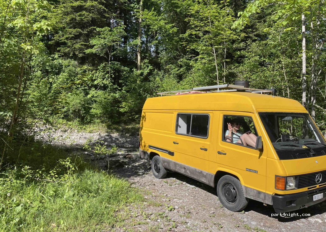 (3752) Wimmis - 816 Burgholz — foto 3