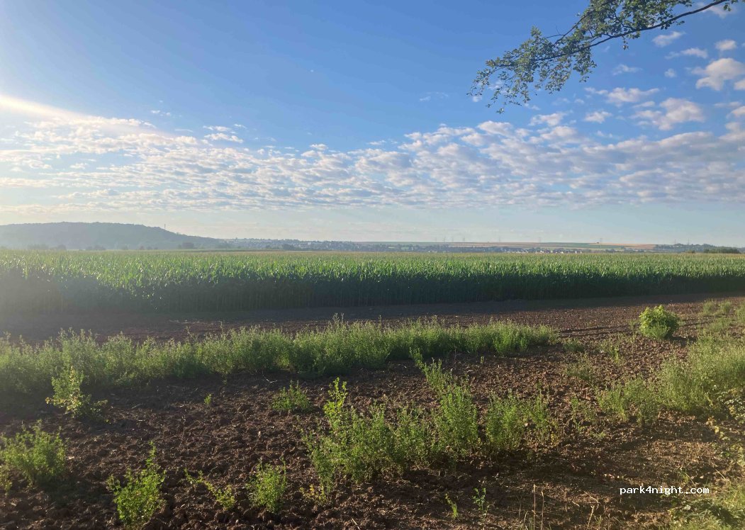 (71665) Vaihingen an der Enz - 52 Panoramastraße — foto 3