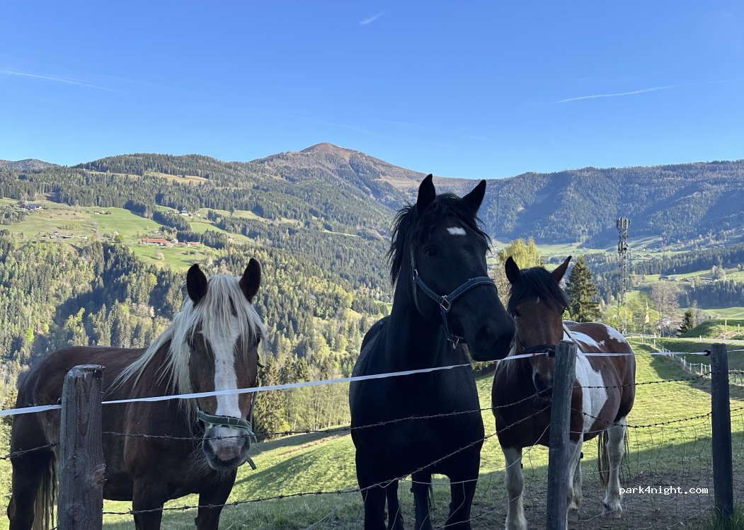 (9543)  - 1 Hinterbuchholz — foto 5