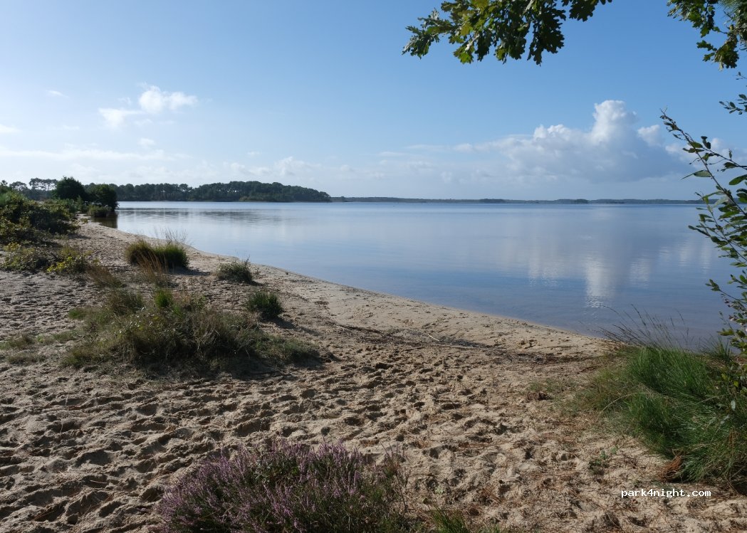 (33680) Lacanau - 52 Promenade de Pech Lèbre — foto 3