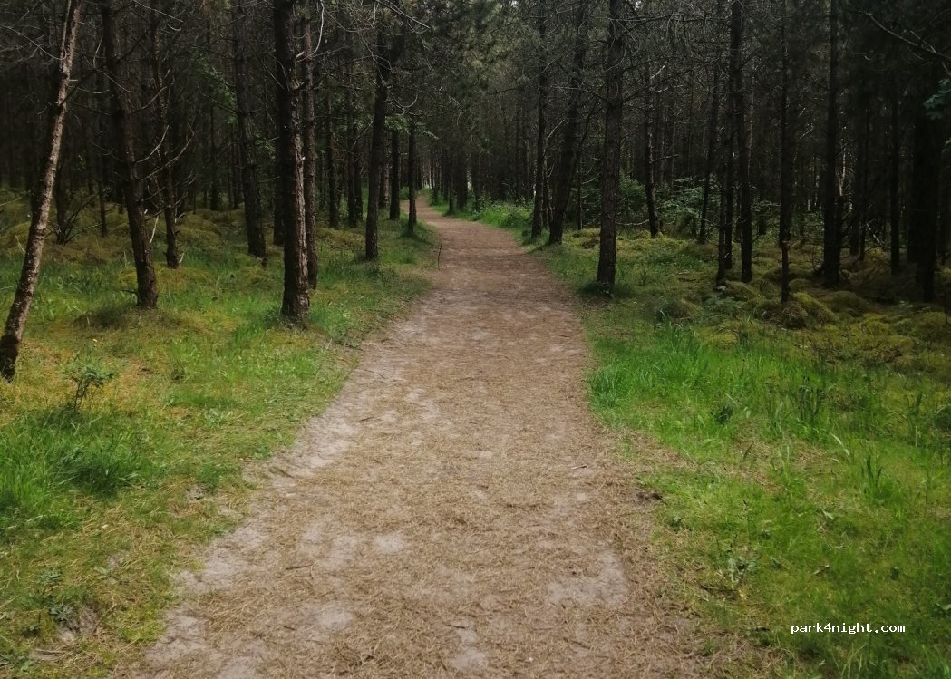 ()  - Unnamed Road — foto 2