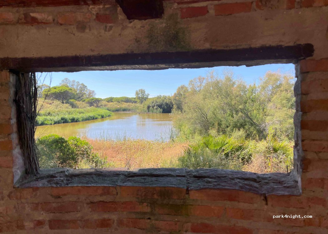 () Mazagón - — foto