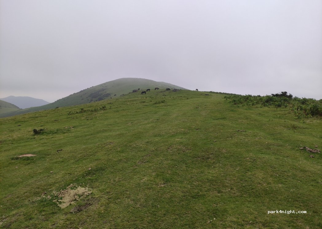 (64250) Telleria - — foto 3