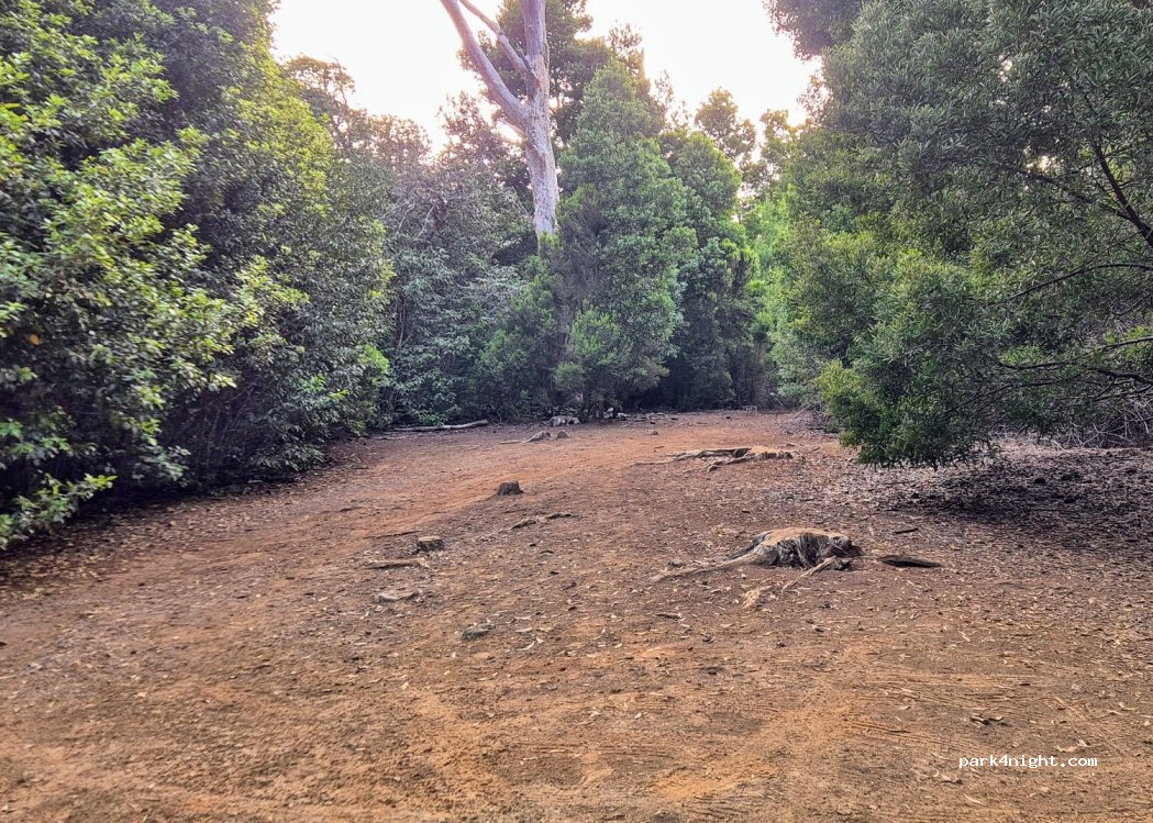 (38292) Santa Cruz de Tenerife - Unnamed Road — foto 2