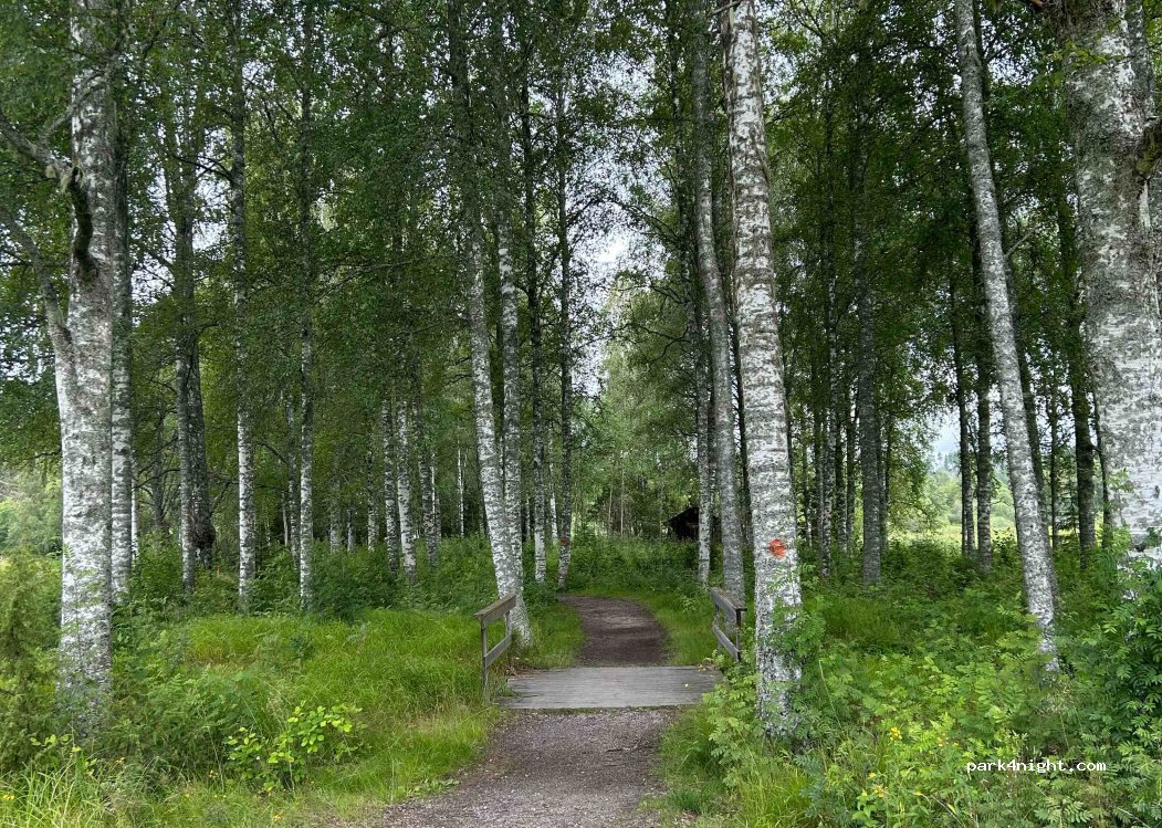 (671 94) Brunskog - Unnamed Road — foto