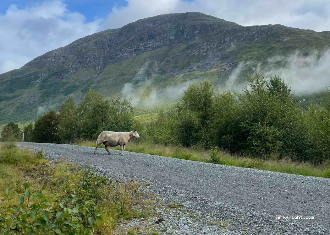 (6783) Stryn - 31 Tonningssætra — foto 2