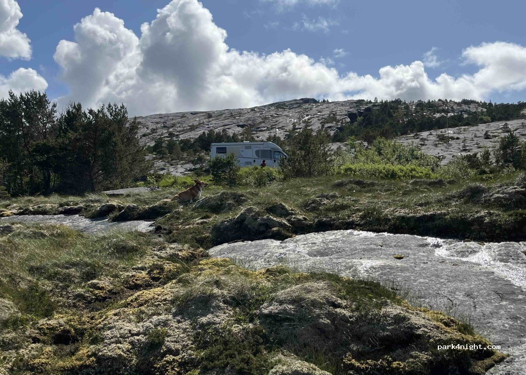(7982) Bindalseidet - 779-825 Otervikveien — foto 3