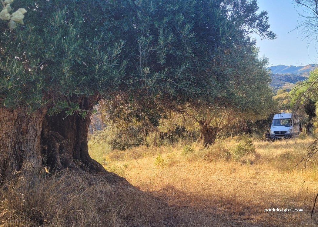 () Cenes de la Vega - — foto