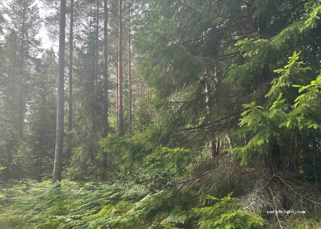 (598 72) Södra Vi - — foto 3