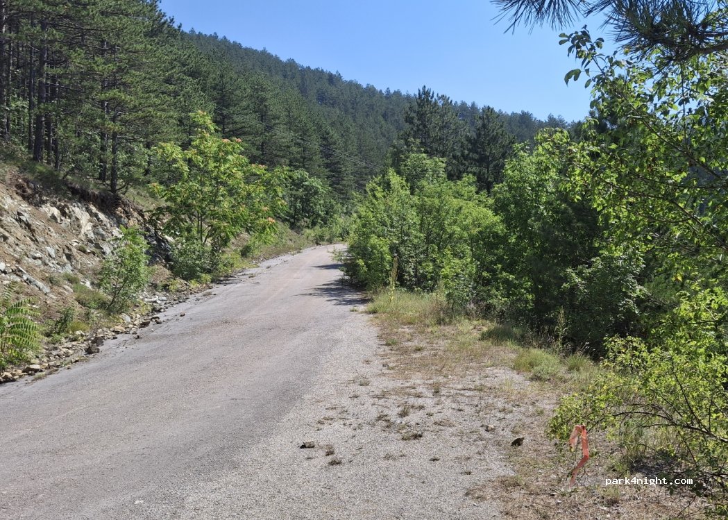 (31243) Mokra Gora - — foto