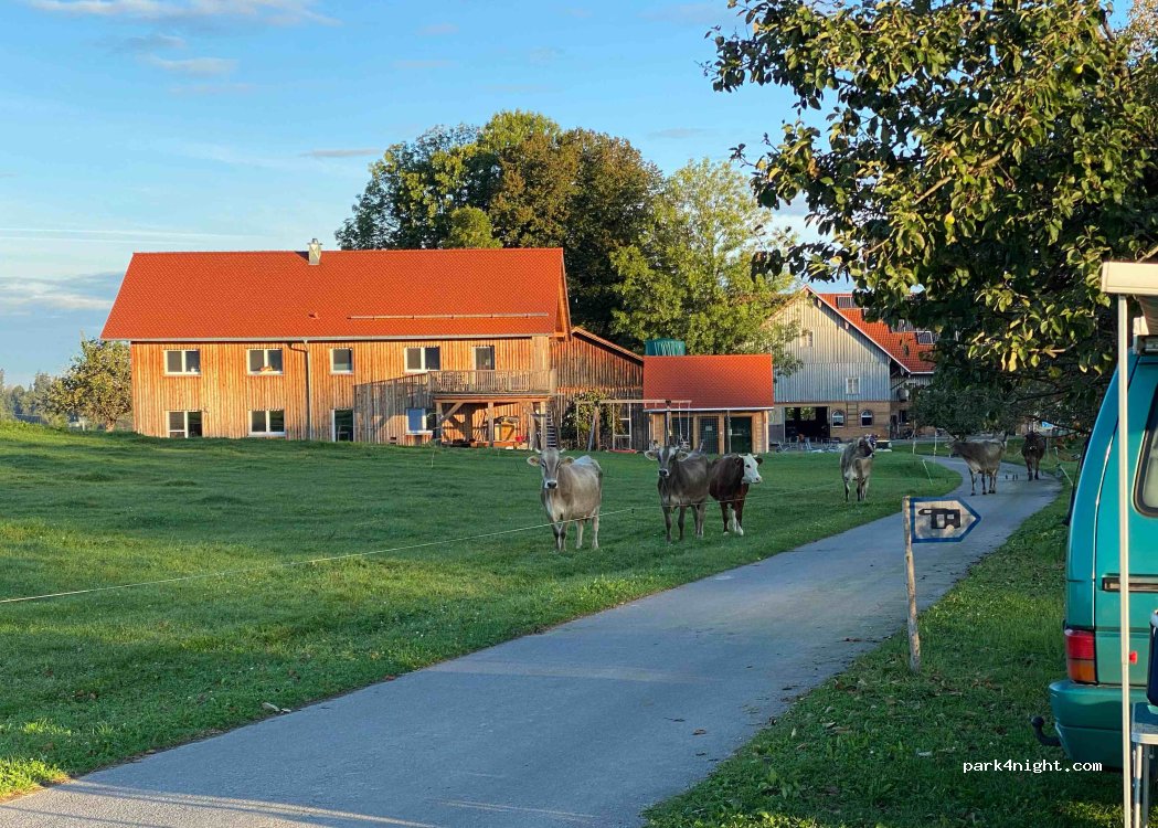(88316) Isny im Allgäu - 1 Baumgarten — foto 2