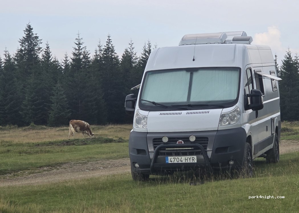 (407366) Măguri - — foto
