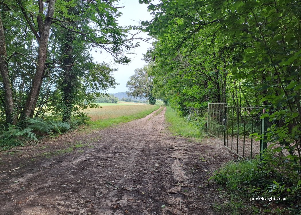 (24290) Valojoulx - — foto 2
