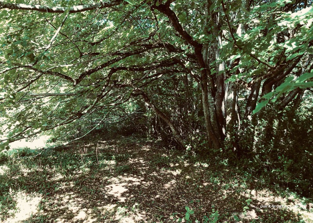 (01212) Berganzo - — foto