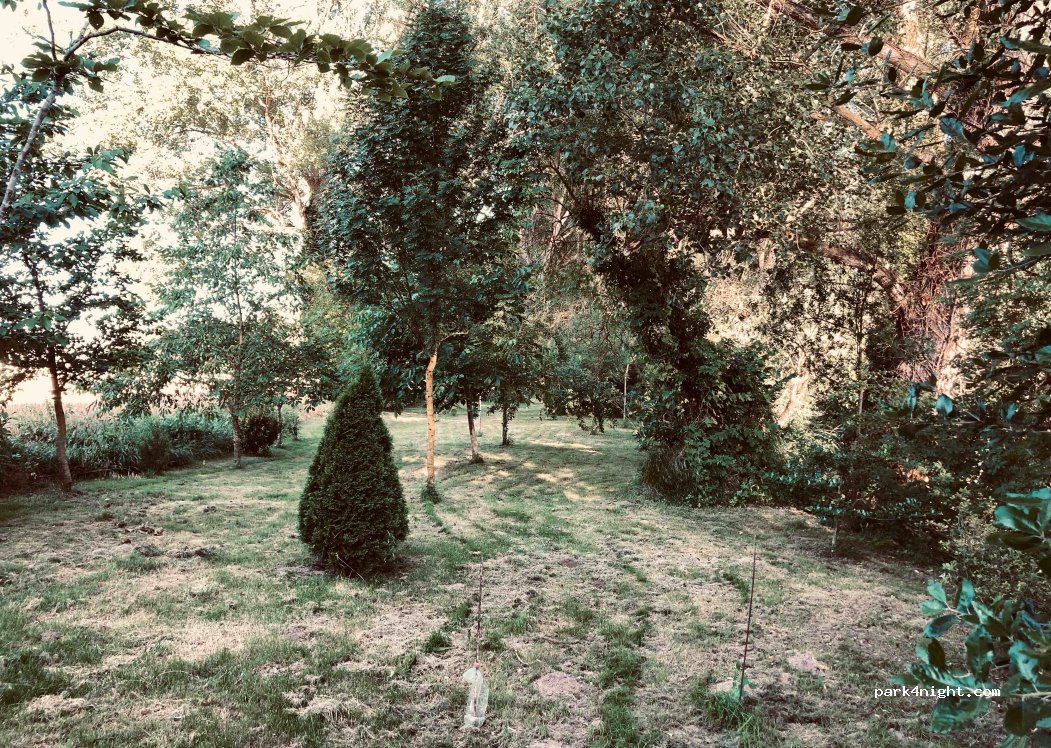 (09215) Treviño - 10 Diseminado Treviño — foto 2