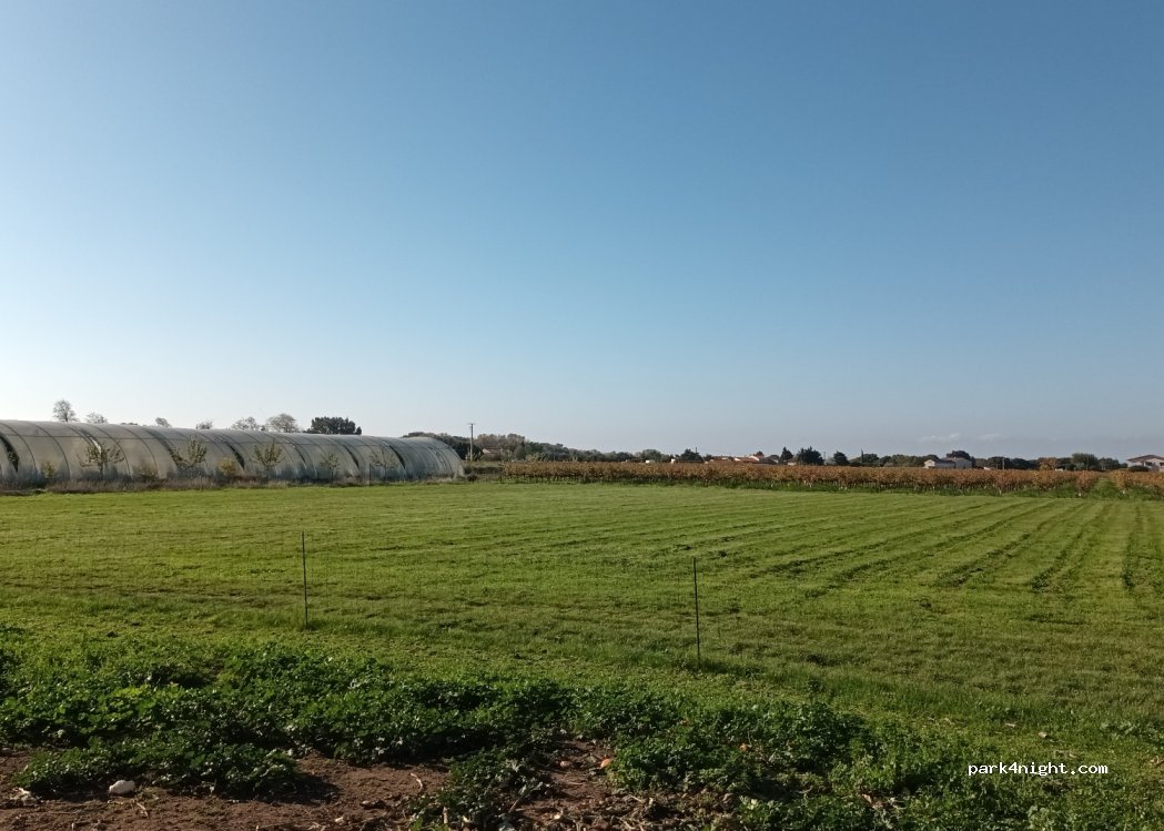 Domaine Font-Aurelle — foto 5