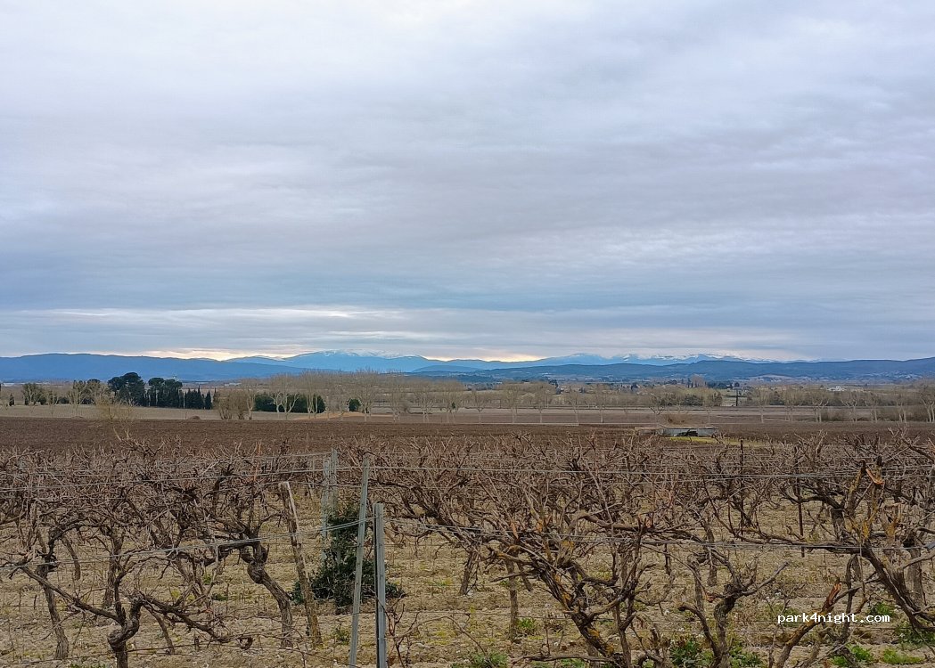 (11610) Pennautier - Chemin de Pezens — foto 4