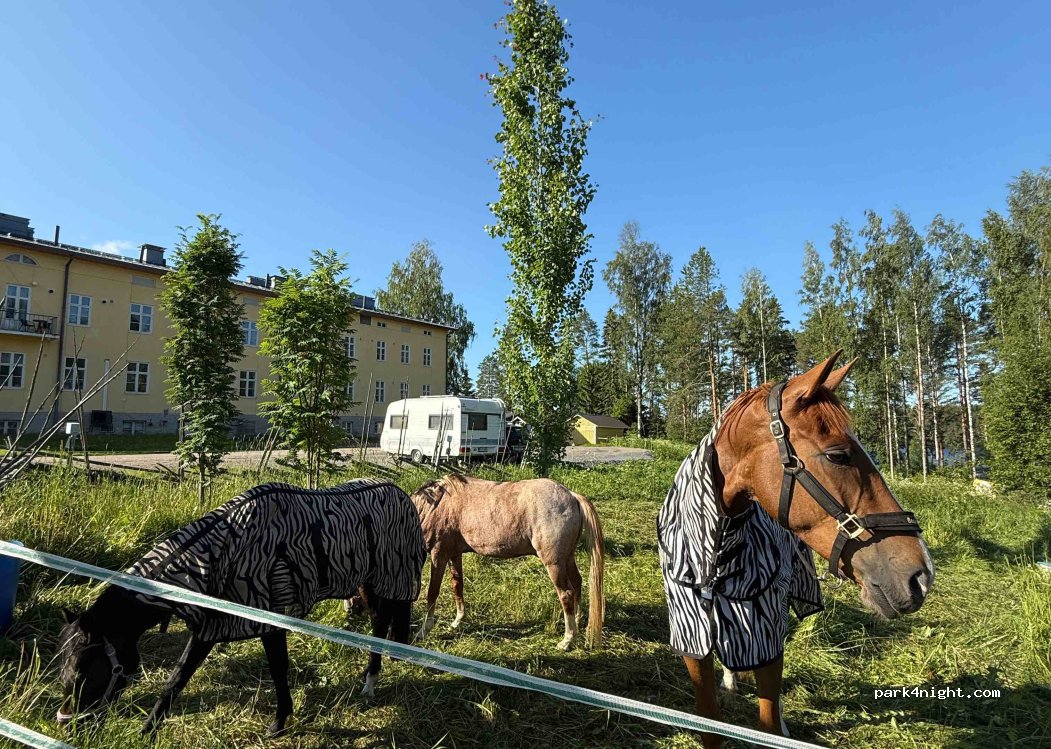 Vanhamäki — foto 4