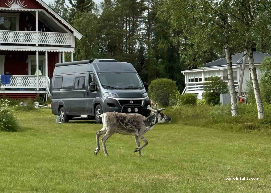 (930 92) Långviken - — foto 5