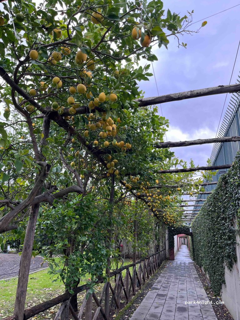 Pompei Parking Zeus — foto 4