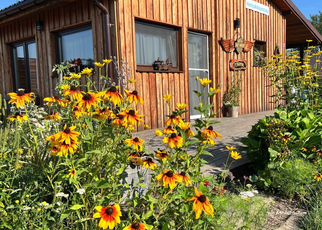 Leśny Zakątek ,,Uroczysko” agroturystyka z sauną,balią i basenem . — foto