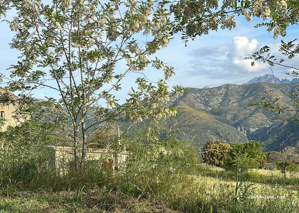 Aire naturelle de camping l'Aghja — foto 4