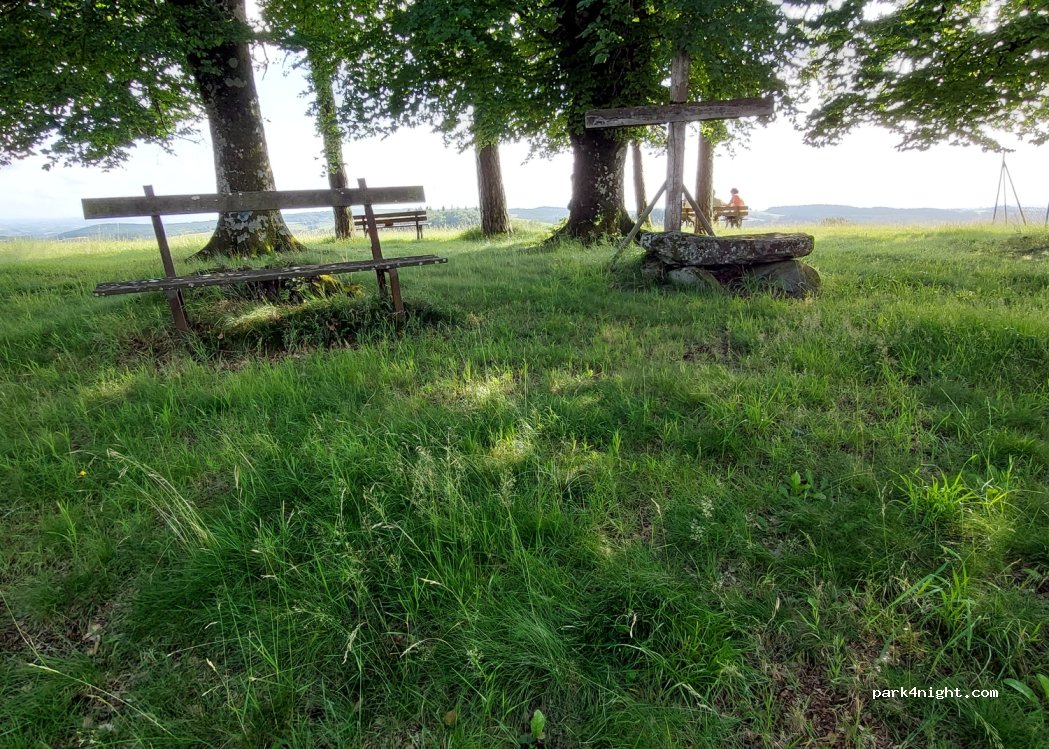 (15120) Lacapelle-del-Fraisse - 19 Chemin des 3 Arbres — foto 2