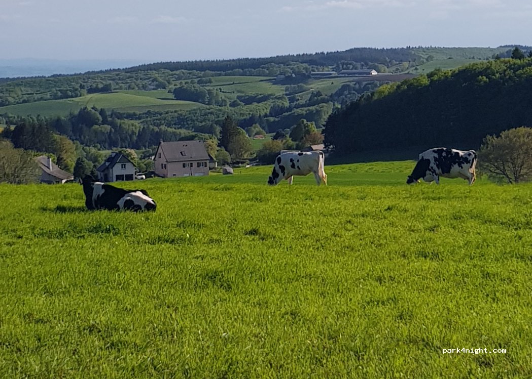 (15120) Lacapelle-del-Fraisse - 19 Chemin des 3 Arbres — foto 5