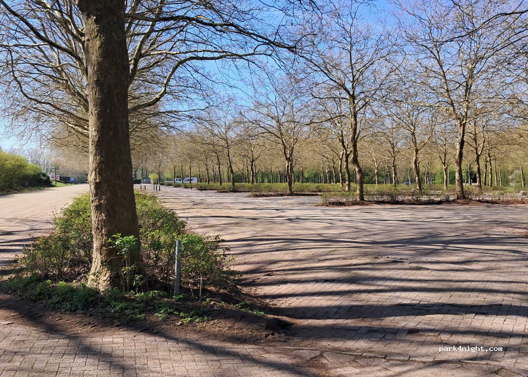 (4214) Vuren - Haarweg — foto 4