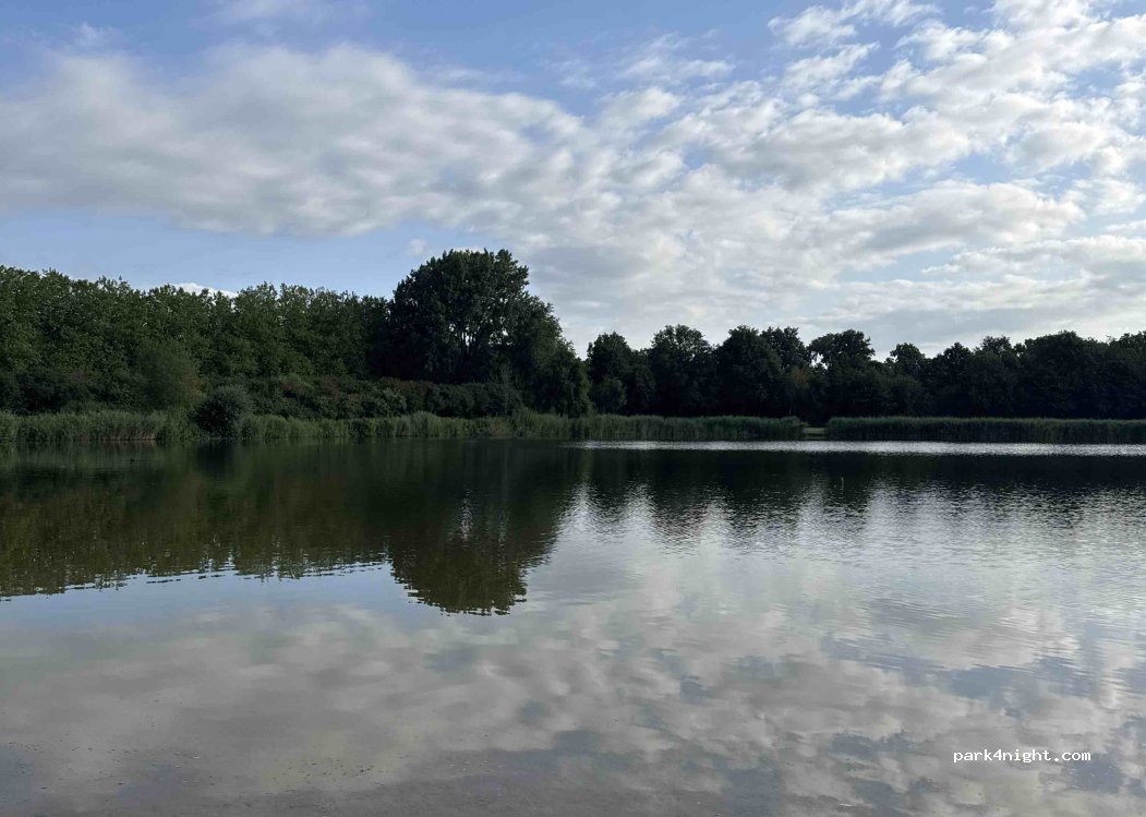 (4214) Vuren - Haarweg — foto 5