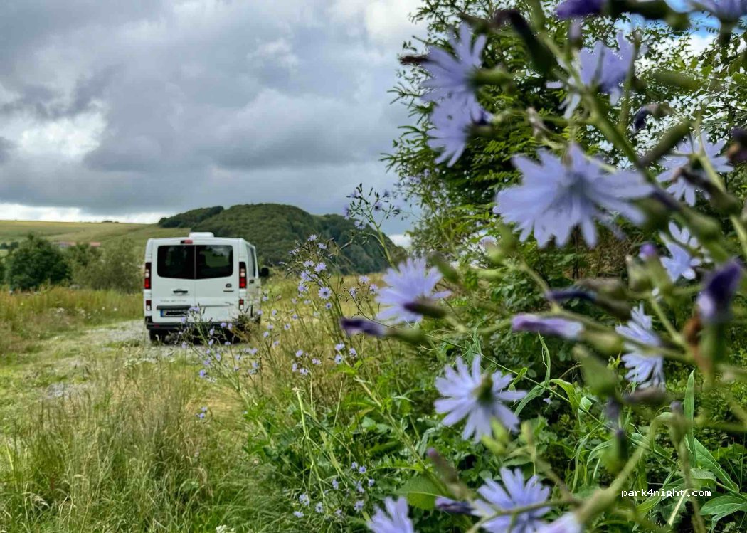 (90200) Lepuix - 120 Route du Ballon d'Alsace — foto
