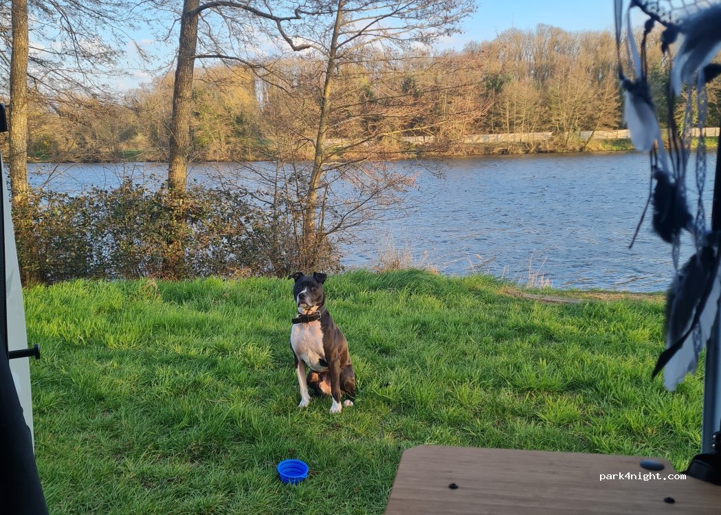 (54850) Méréville - — foto 5