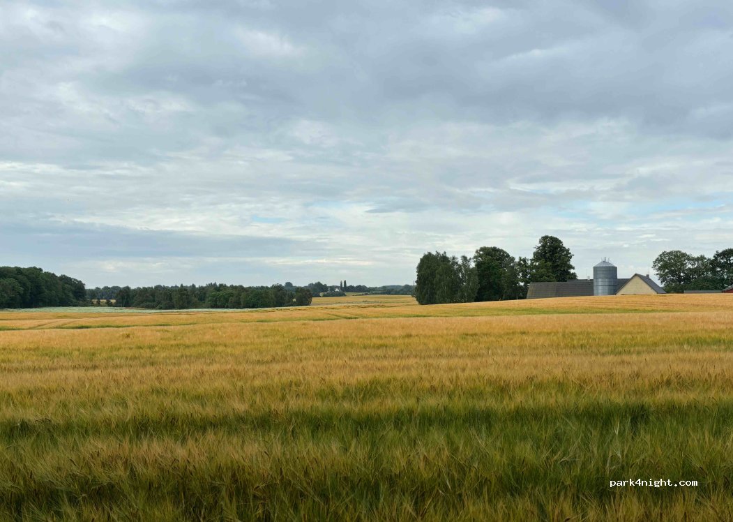 (4000) Roskilde - 100 Boserupvej — foto
