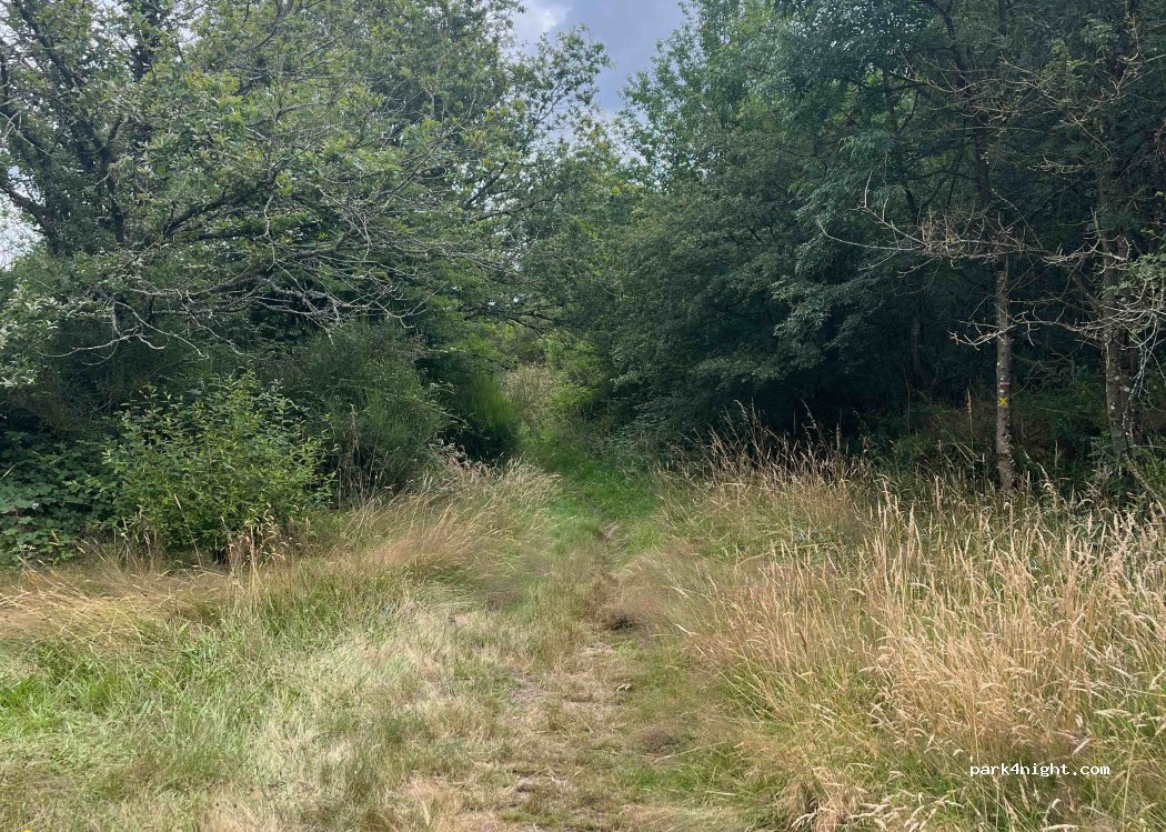 (35380) Paimpont - Unnamed road — foto