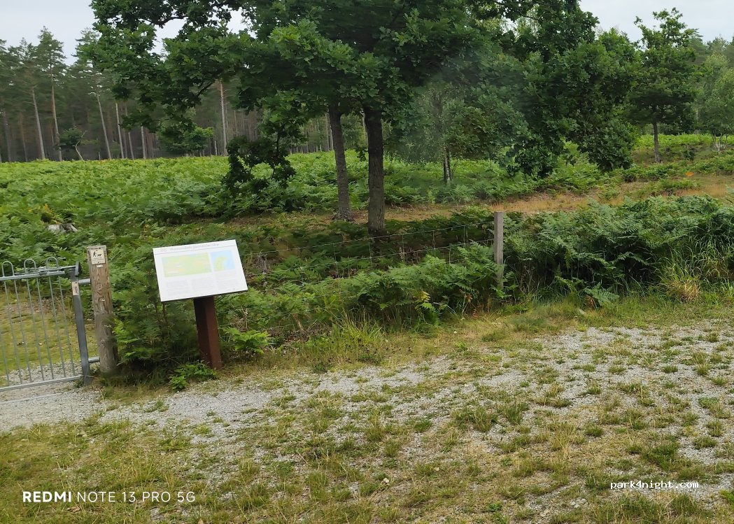 (387 74) Byxelkrok - Unnamed Road — foto 3