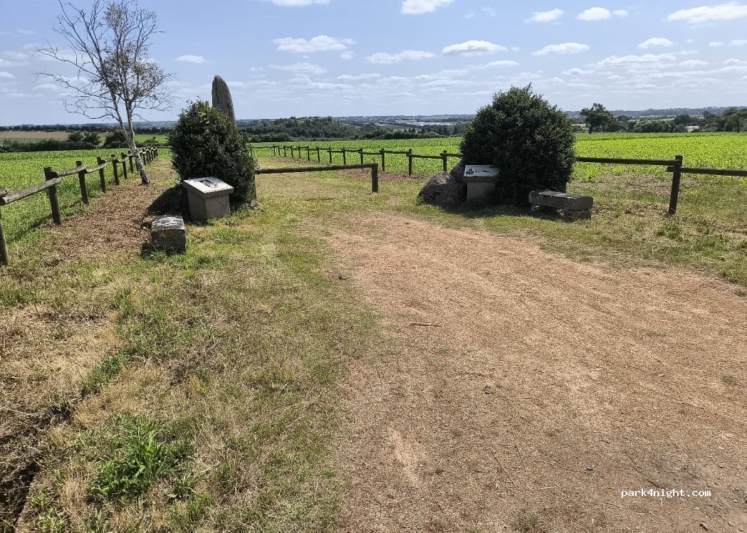 (49450) Sèvremoine - — foto 3