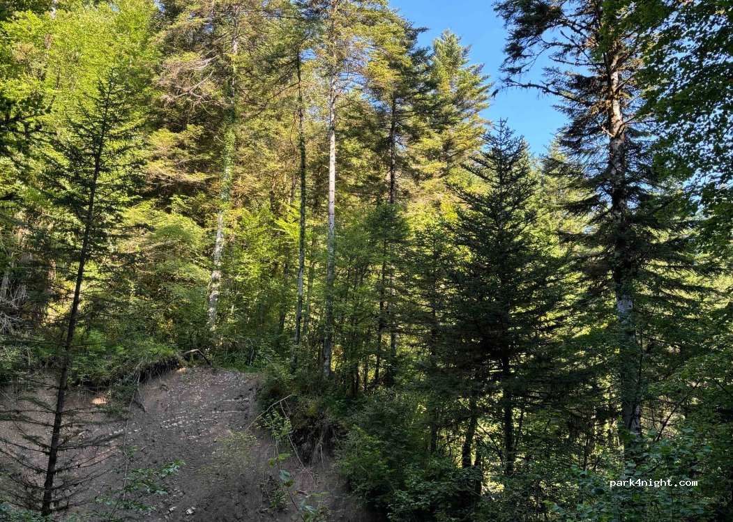 (74210) Doussard - 2 Route Forestière Domaniale de la Combe d'Iré — foto