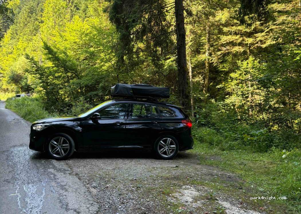 (74210) Doussard - 2 Route Forestière Domaniale de la Combe d'Iré — foto 3