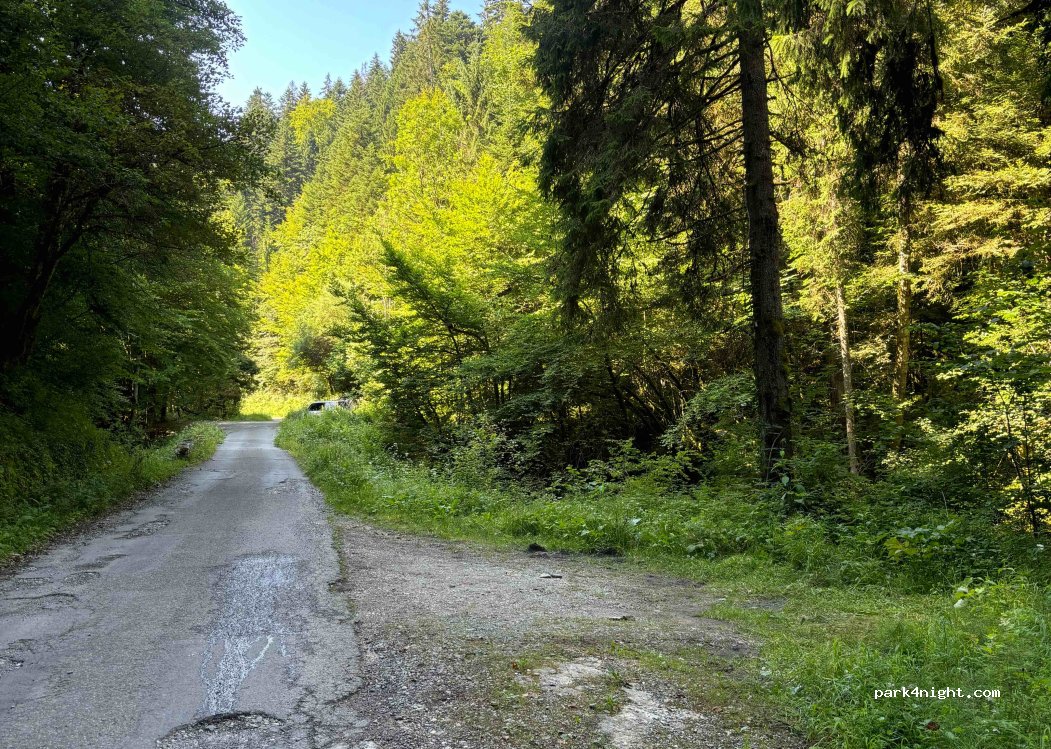 (74210) Doussard - 2 Route Forestière Domaniale de la Combe d'Iré — foto 4