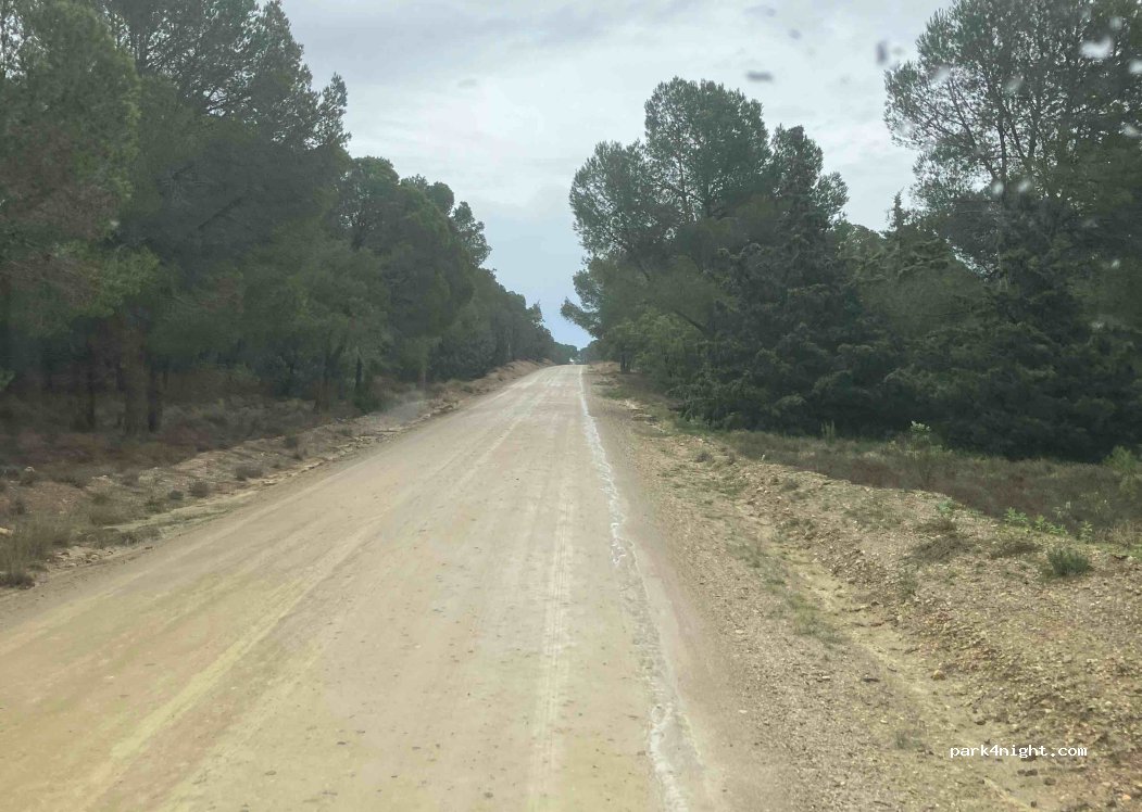 (50600) Ejea de los Caballeros - — foto 3
