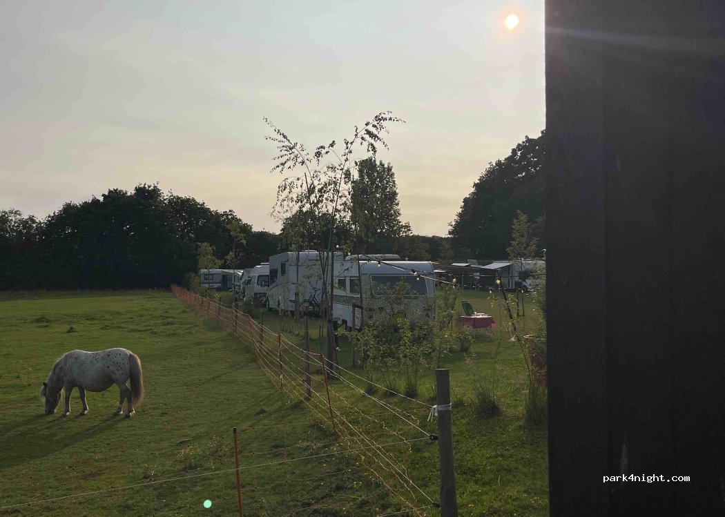 Camping Sparjebird — foto 3