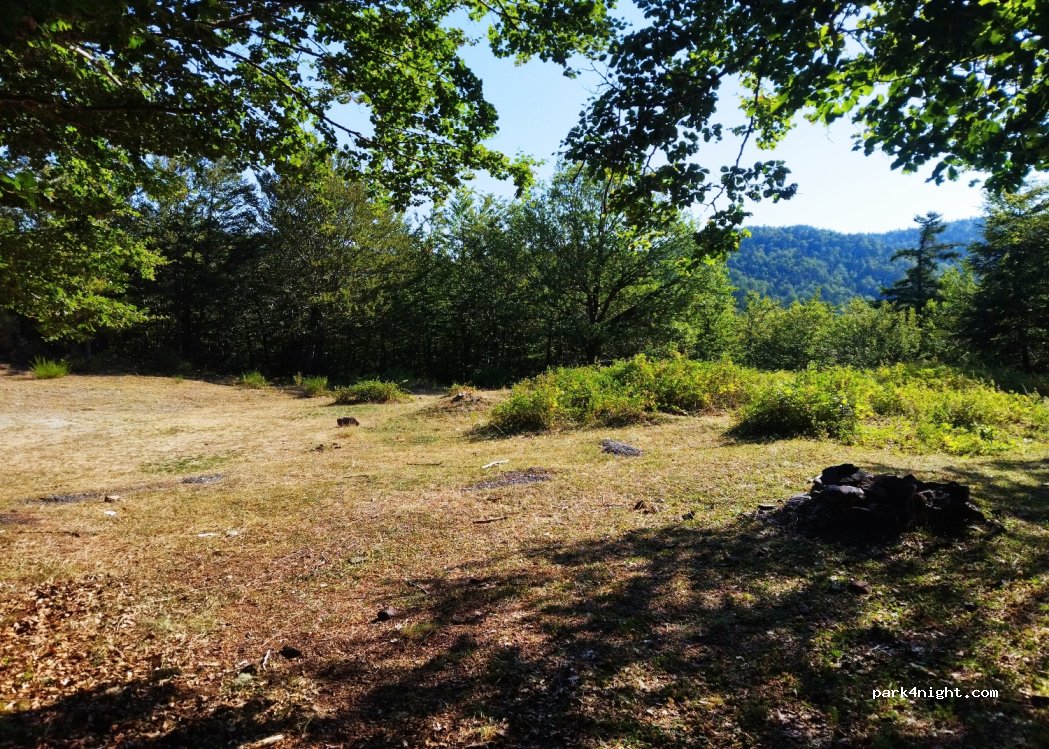 (89060) Roccaforte del Greco - — foto